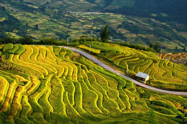 Thu về chiêm ngưỡng những ruộng bậc thang đẹp nhất Việt Nam ảnh 3