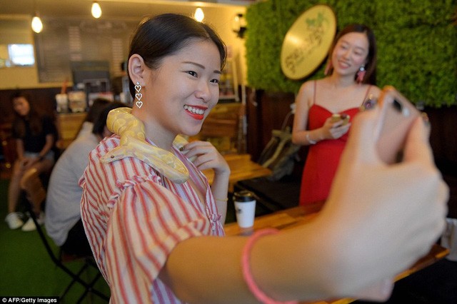 Đến quán cafe cảm giác mạnh: Chơi cùng rắn, bọ cạp và cự đà ảnh 2