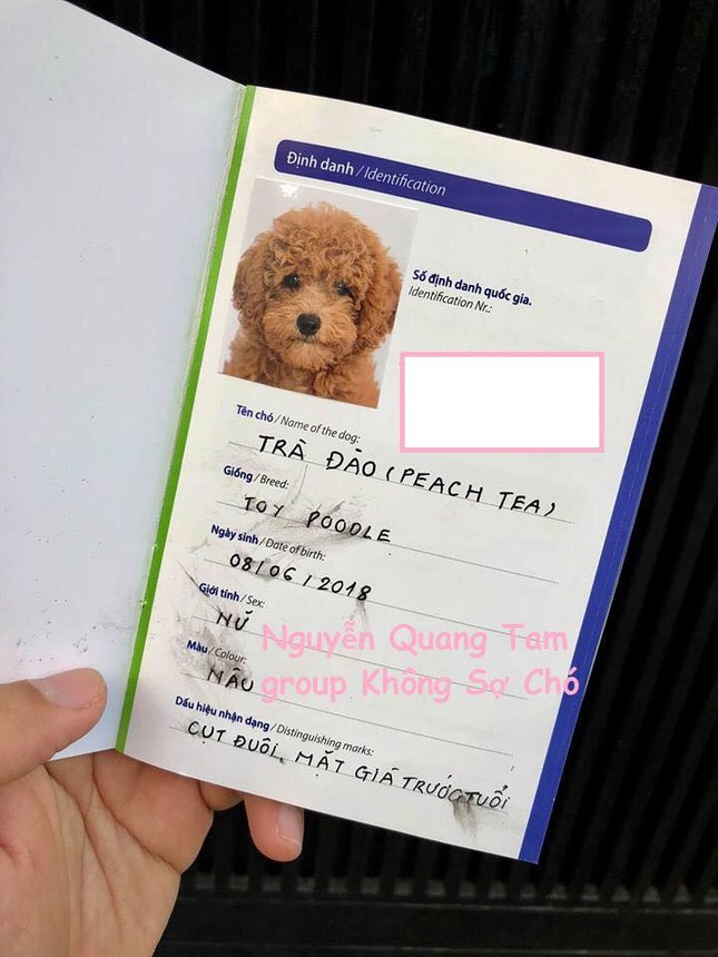 Đưa "boss" đi chụp ảnh thẻ chuẩn quốc tế làm giấy khai sinh, anh chàng khiến dân mạng phát cuồng ảnh 4