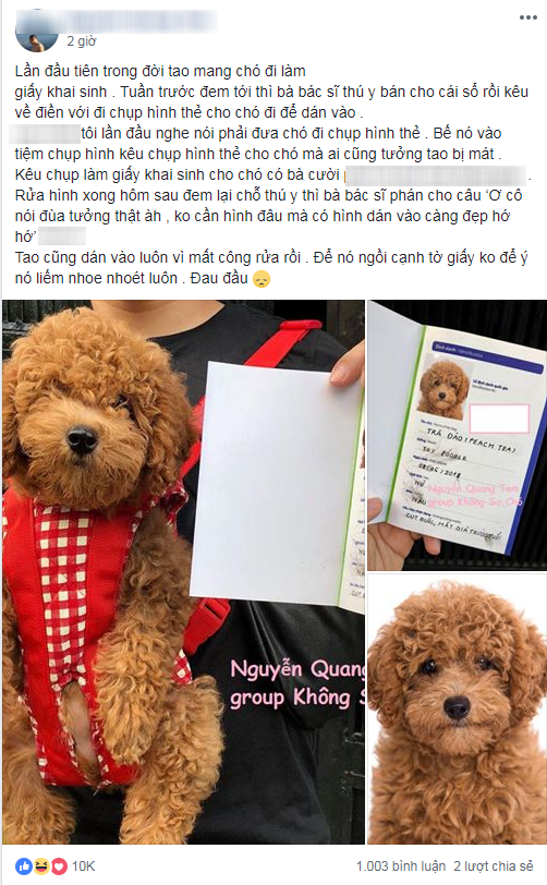 Đưa "boss" đi chụp ảnh thẻ chuẩn quốc tế làm giấy khai sinh, anh chàng khiến dân mạng phát cuồng ảnh 1