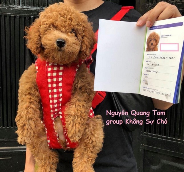 Đưa "boss" đi chụp ảnh thẻ chuẩn quốc tế làm giấy khai sinh, anh chàng khiến dân mạng phát cuồng ảnh 3