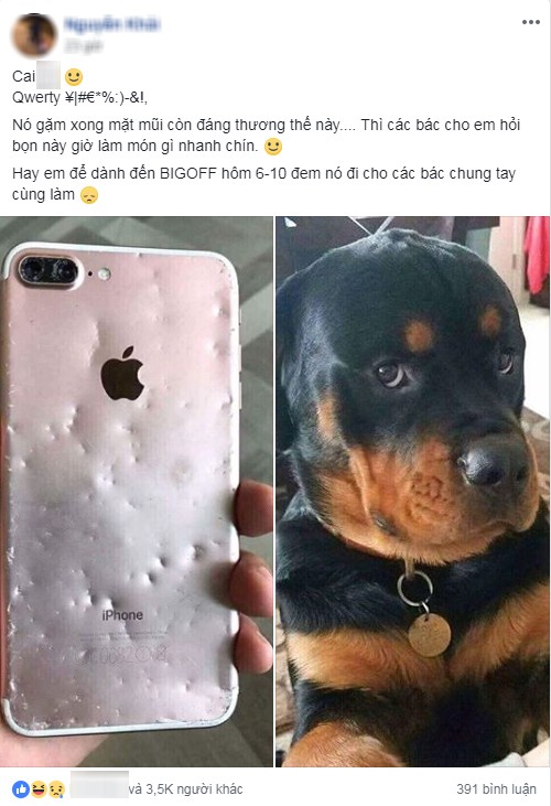 Chết cười với chú chó cắn nát iPhone 8 Plus vẫn trưng ra bộ mặt "tôi đã làm gì sai" ảnh 1