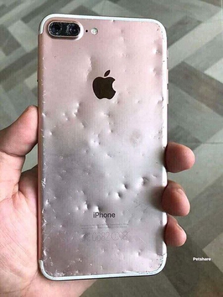 Chết cười với chú chó cắn nát iPhone 8 Plus vẫn trưng ra bộ mặt "tôi đã làm gì sai" ảnh 2