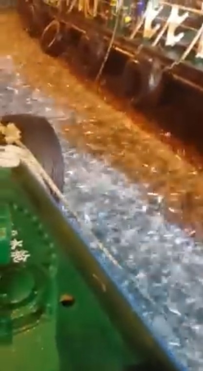 Bão "Măng Cụt" đổ bộ Hồng Kông: Sóng biển "nuốt chửng" cao ốc, động vật hoảng loạn tìm chỗ trốn ảnh 3
