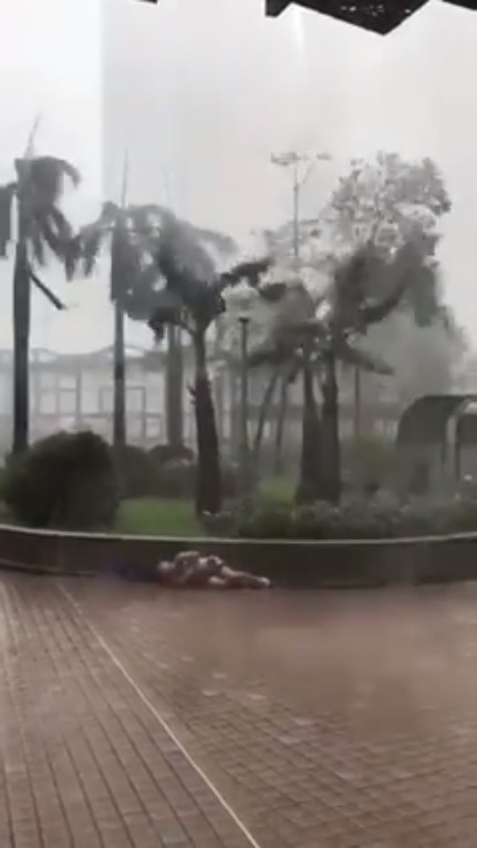 Bão "Măng Cụt" đổ bộ Hồng Kông: Sóng biển "nuốt chửng" cao ốc, động vật hoảng loạn tìm chỗ trốn ảnh 5