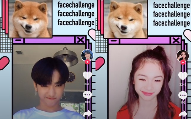 Trào lưu mới đang được teen yêu thích: Thử thách "cover" mặt thú cưng! ảnh 5