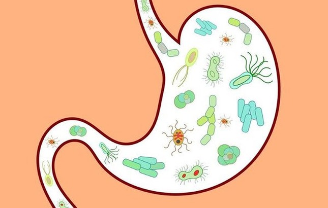 Tác dụng phụ của lô hội ít người biết ảnh 8