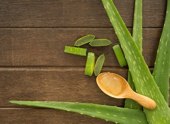 Tác dụng phụ của lô hội ít người biết ảnh 2