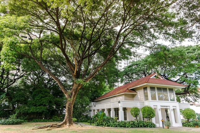 Dành cho team "crush" đất Thái: Có một xứ chùa vàng "mini" trong lòng Đại học Chulalongkorn ảnh 11