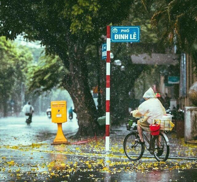 Có nhiều hơn một lý do để yêu, để nhớ về Hà Nội ảnh 1