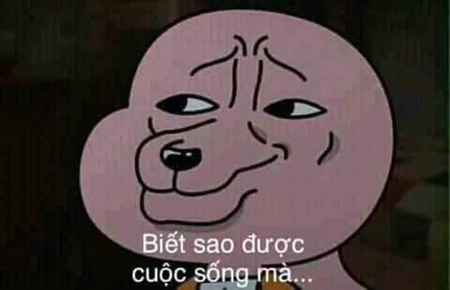 Hot-trend "Cuộc sống mà" vừa "lên sàn" đã khiến dân tình thi nhau chế ảnh ảnh 5