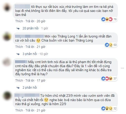 Đàn cá Koi hơn trăm triệu của trường ĐH bị đánh bả chết sạch sau một đêm khiến MXH bức xúc ảnh 4