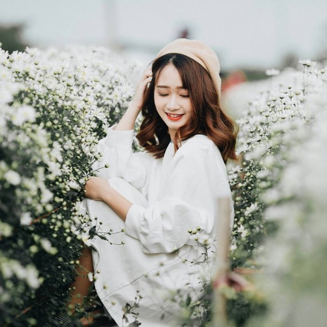 Mùa cúc họa mi "gõ cửa" Hà Nội, rủ hội cạ cứng cùng lên lịch chụp ảnh đi thôi! ảnh 3