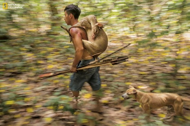 Bộ tộc cho động vật bú sữa như em bé đang đứng trước nguy cơ tuyệt chủng ảnh 2