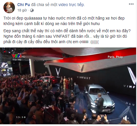 Góc "dân cày gom lúa" nhân dịp VinFast "trình làng" 2 mẫu xe hơi đầu tiên Made in Vietnam ảnh 1