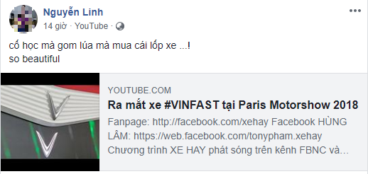 Góc "dân cày gom lúa" nhân dịp VinFast "trình làng" 2 mẫu xe hơi đầu tiên Made in Vietnam ảnh 6