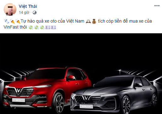 Góc "dân cày gom lúa" nhân dịp VinFast "trình làng" 2 mẫu xe hơi đầu tiên Made in Vietnam ảnh 10