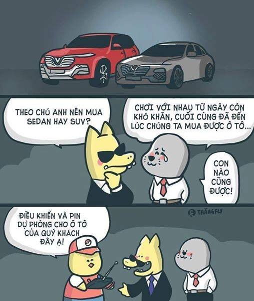 Góc "dân cày gom lúa" nhân dịp VinFast "trình làng" 2 mẫu xe hơi đầu tiên Made in Vietnam ảnh 3