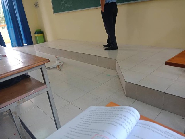 Chăm đến lớp dù hơi mất tập trung, chú mèo được thầy giáo cho lên tận bục giảng học bài ảnh 1