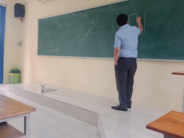 "Vị khách không mời" chăm đến lớp được thầy giáo cho lên tận bục giảng học bài ảnh 1