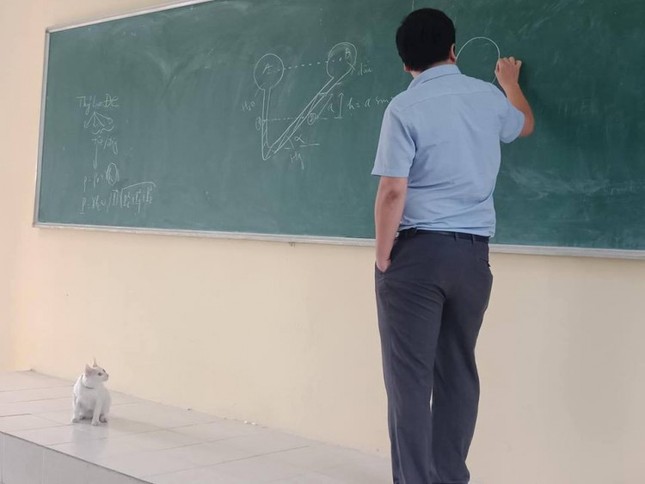 "Vị khách không mời" chăm đến lớp được thầy giáo cho lên tận bục giảng học bài ảnh 2