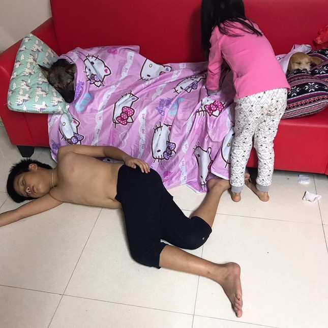 Làm "sen" khó lắm phải đâu chuyện đùa, thấy "boss" buồn ngủ phải nhường chỗ cơ! ảnh 1