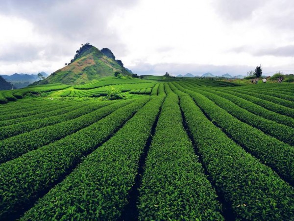 Những điểm đến Tây Bắc đẹp "mơ màng" trong mùa Thu Đông! ảnh 2