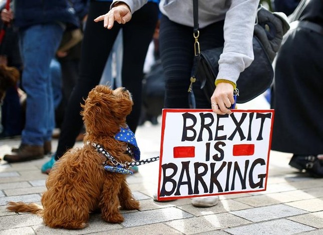 1000 chú chó biểu tình phản đối Brexit ở Anh ảnh 1