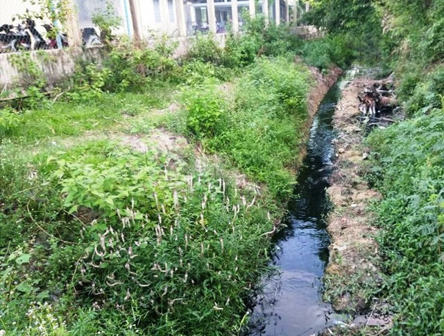Cả lớp đeo khẩu trang học bài vì mùi hôi thối ảnh 2