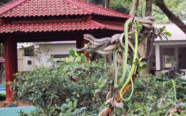 4 điểm du lịch ở Việt Nam khiến khách vừa đi vừa rùng mình sợ hãi ảnh 1