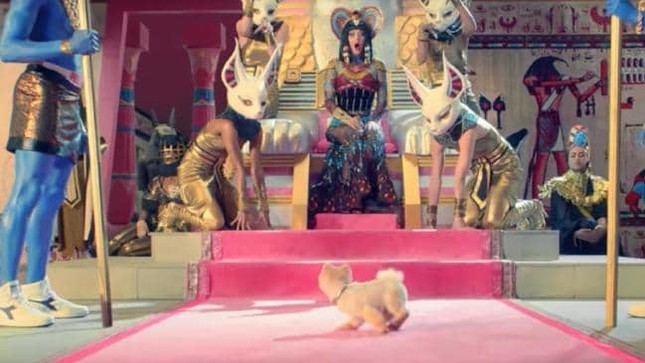 "Hot dog” sở hữu gần 9 triệu lượt theo dõi Instagram: Mức cát-xê “khủng”, đóng MV cho Katy Perry ảnh 6