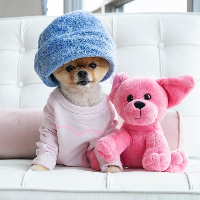"Hot dog” sở hữu gần 9 triệu lượt theo dõi Instagram: Mức cát-xê “khủng”, đóng MV cho Katy Perry ảnh 9