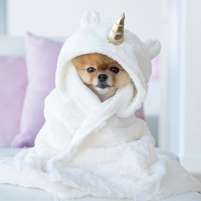 "Hot dog” sở hữu gần 9 triệu lượt theo dõi Instagram: Mức cát-xê “khủng”, đóng MV cho Katy Perry ảnh 11