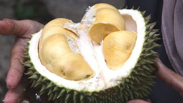 Sầu riêng, đậu phụ thối xuất hiện trong bảo tàng món ăn đáng sợ ảnh 1