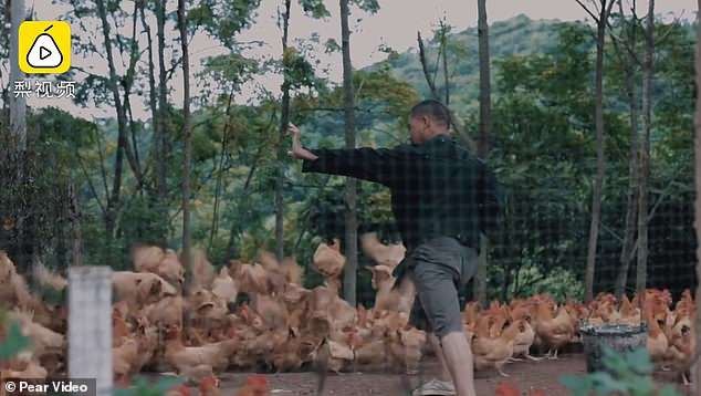Ngôi làng nơi tất cả người dân cùng luyện “kungfu” ảnh 3