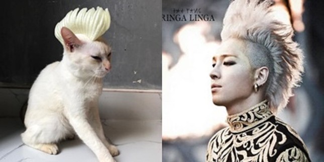 Tấm gương "boss" tận tâm: Hợp tác "diễn sâu" để "sen" đem ra cosplay 12 style 12 cá tính! ảnh 4