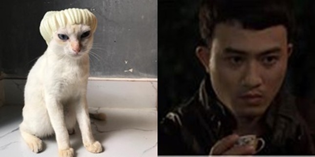 Tấm gương "boss" tận tâm: Hợp tác "diễn sâu" để "sen" đem ra cosplay 12 style 12 cá tính! ảnh 5