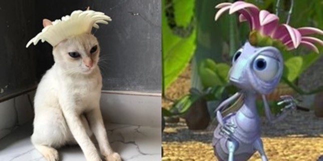 Tấm gương "boss" tận tâm: Hợp tác "diễn sâu" để "sen" đem ra cosplay 12 style 12 cá tính! ảnh 8