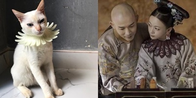 Tấm gương "boss" tận tâm: Hợp tác "diễn sâu" để "sen" đem ra cosplay 12 style 12 cá tính! ảnh 12