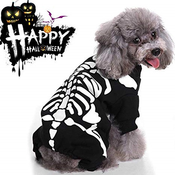 Trang phục hóa trang Halloween 2018 cho thú cưng "cực hot" ảnh 10
