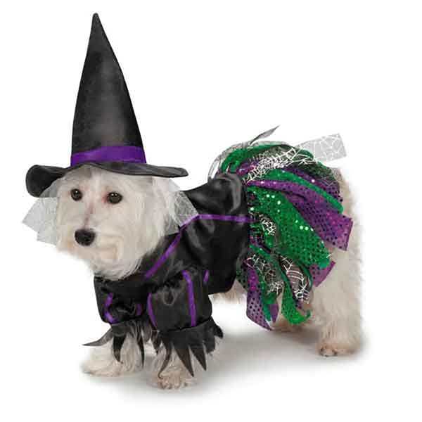 Trang phục hóa trang Halloween 2018 cho thú cưng "cực hot" ảnh 5