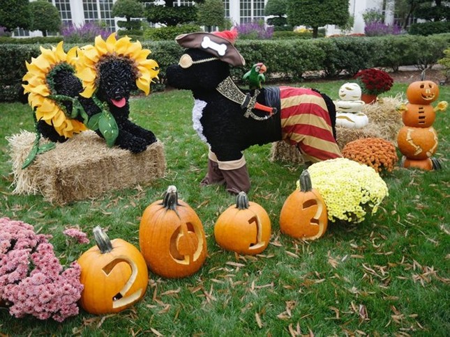Khám phá lễ hội Halloween thú vị dành cho thiếu nhi ở Nhà Trắng ảnh 11