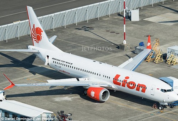 Vụ máy bay chở 189 người rơi xuống biển ở Indonesia: Lỗi thuộc về phi công? ảnh 1