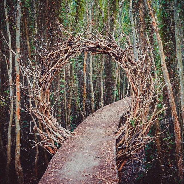Làng nổi Tân Lập "gần xịch" Sài Gòn đang mùa đẹp nhất, xách balo lên và đi thôi! ảnh 8