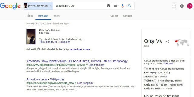 Bức ảnh khiến dân mạng tranh cãi mà đến cả Google cũng bị đánh lừa ảnh 2