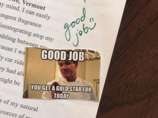 Giáo viên Mỹ chấm điểm bằng “meme” và GIF khiến học sinh vô cùng hứng thú ảnh 2