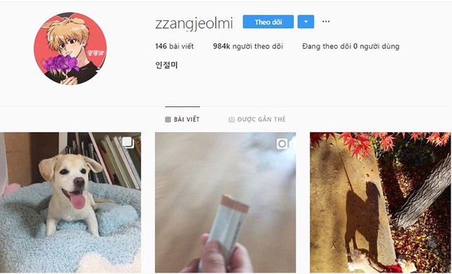 Chân dung chú cún sở hữu trang Instagram được các idol Hàn Quốc "rần rần" follow ảnh 4