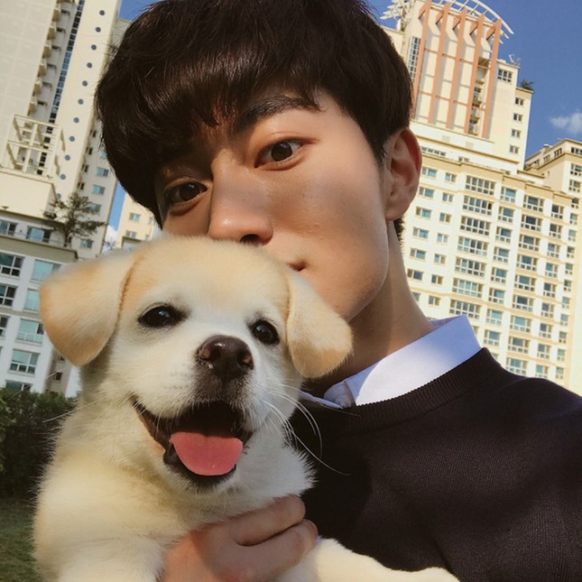 Chân dung chú cún sở hữu trang Instagram được các idol Hàn Quốc "rần rần" follow ảnh 6