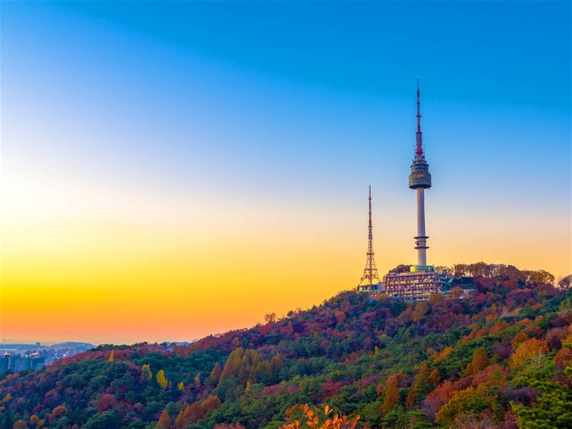 Ngắm những cung đường lá đổi màu vàng ươm tuyệt đẹp ở Seoul ảnh 2