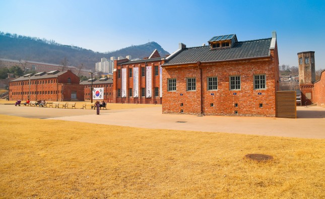 Ngắm những cung đường lá đổi màu vàng ươm tuyệt đẹp ở Seoul ảnh 8